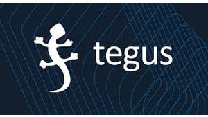 tegus