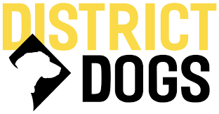 District Dogs logo