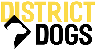 District Dogs