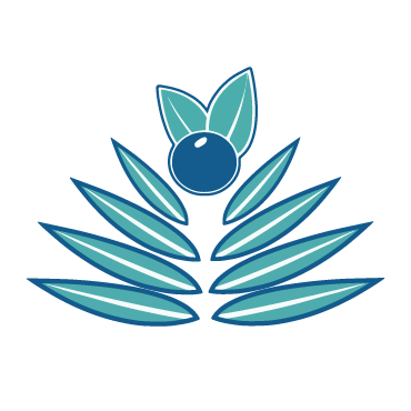 Palm Berries logo