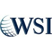 WSI logo