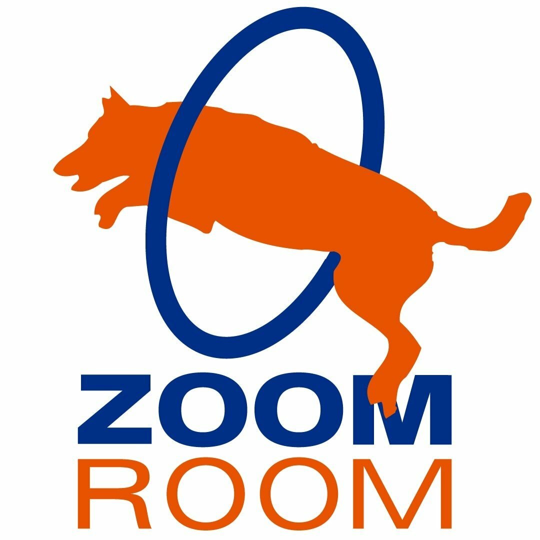 Zoom Room