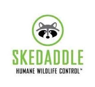 Skedaddle logo