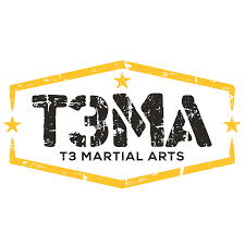 T3Ma logo