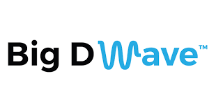 Big D Wave logo