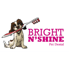 Bright N' Shine Pet Dental logo