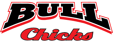 BULL CHICKS logo