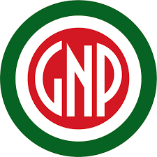 Glass Nickel Pizza Co logo