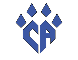 Cheer Athletics logo
