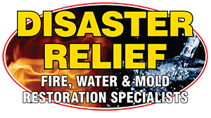Disaster Relief logo