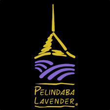 Pelindaba Lavender logo
