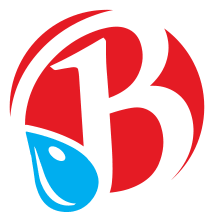 The Original Brooklyn Water Bagel Co logo