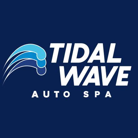 Tidal Wave Systems logo