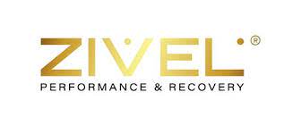 Zivel logo