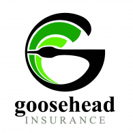 Goosehead Insurance logo