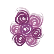 Bella Bridesmaids logo