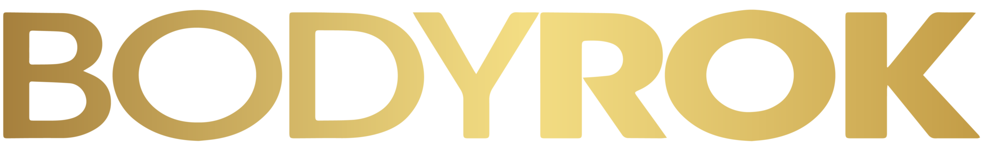 BodyROK logo