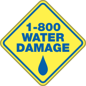 1-800 Water Damage logo